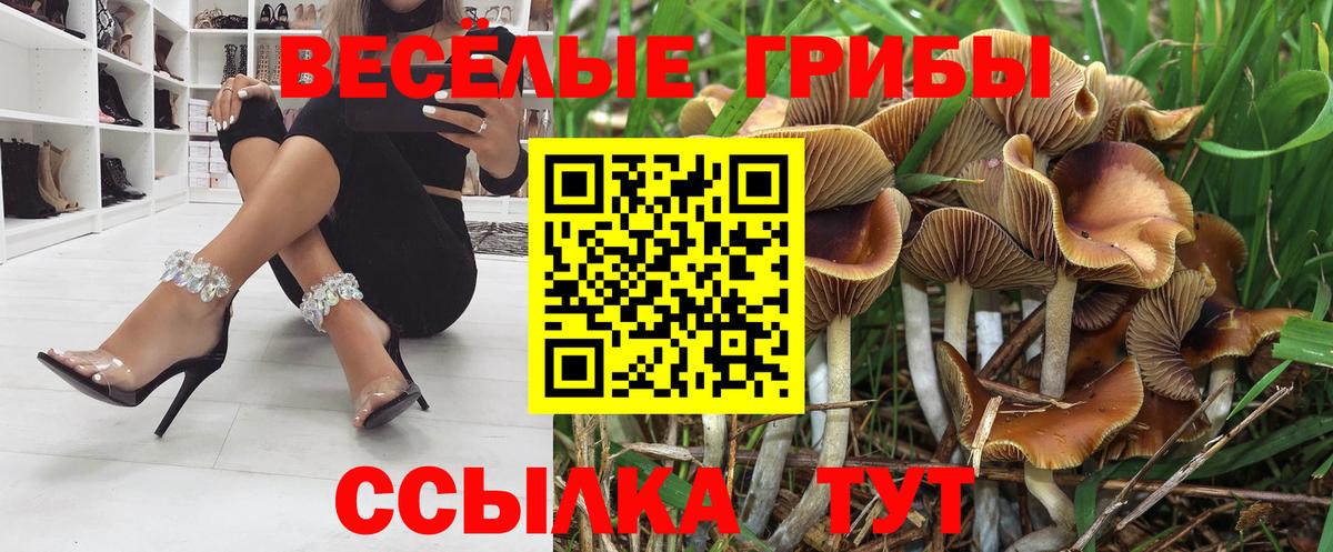 Псилоцибиновые грибы MAGIC MUSHROOMS  Псилоцибиновые грибы прущие грибы  Заречный  Вход с VPN 
