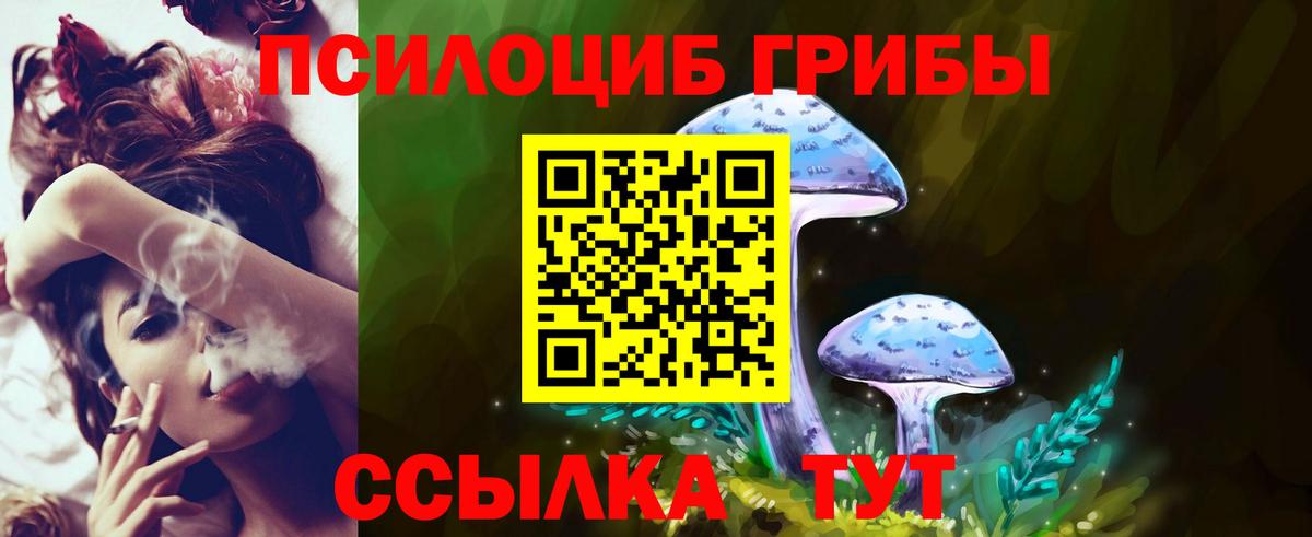 Псилоцибиновые грибы Cubensis Заречный